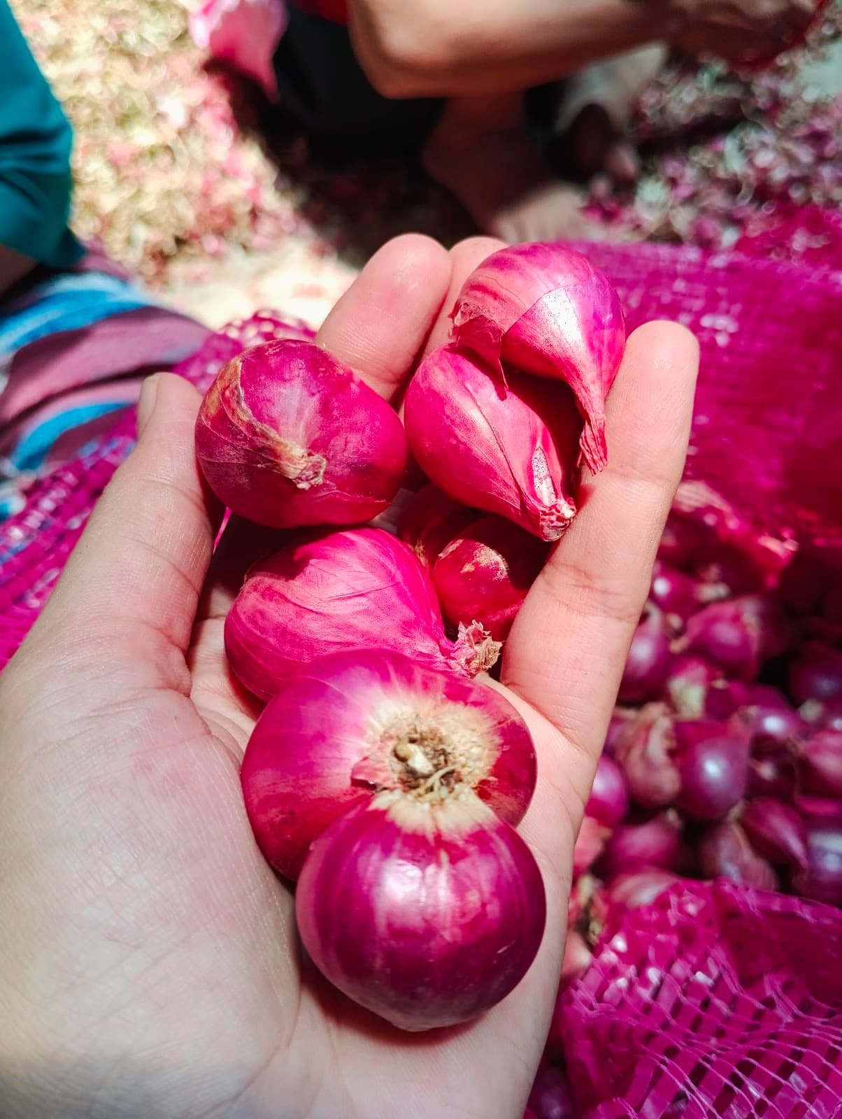 Bawang